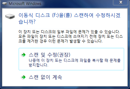 Windows 스캔 및 수정에서 외부 장치에서 삭제된 파일 복구